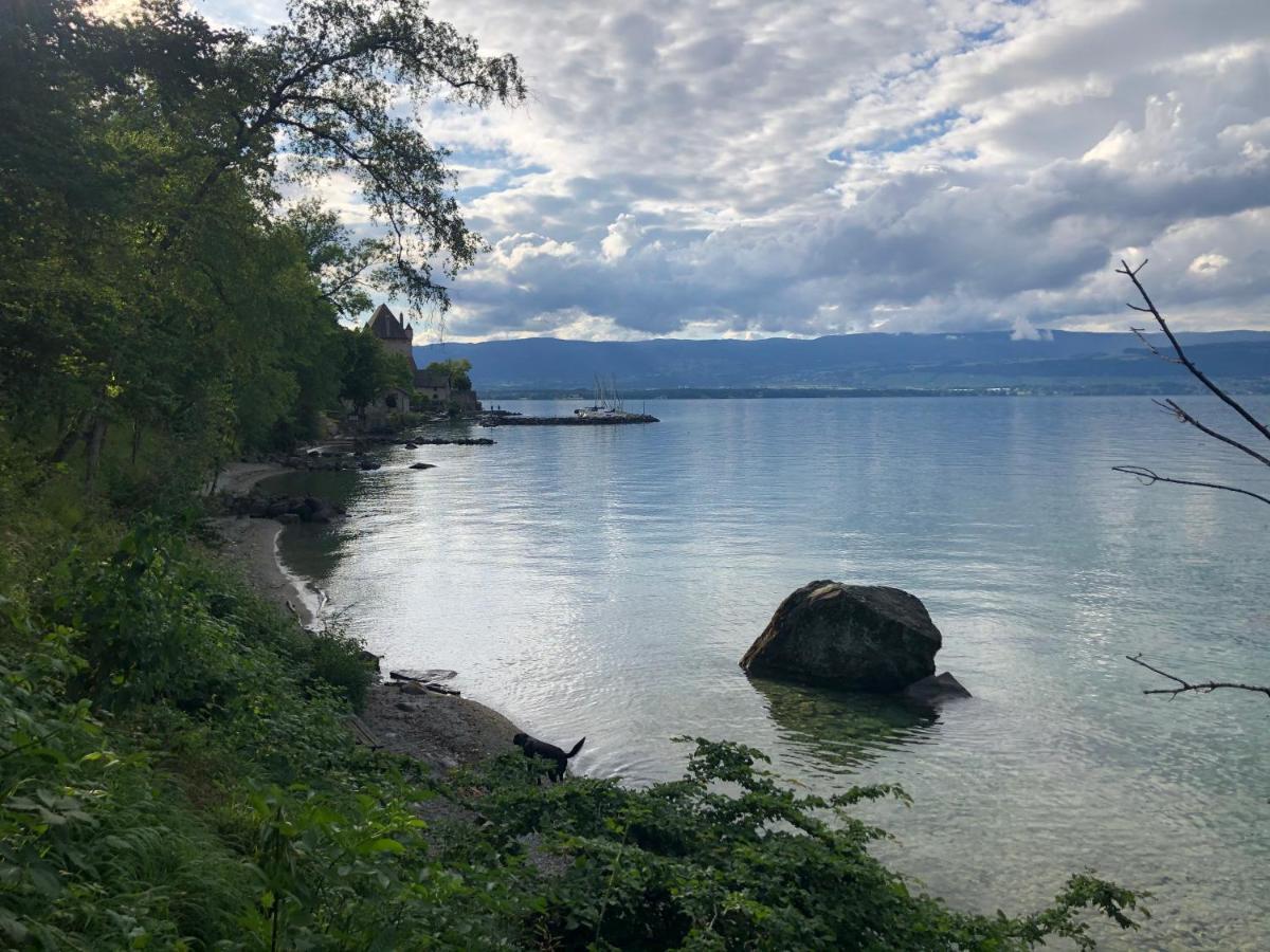 A Room With A View - Maisonnette Dans Bourg Medieval Au Bord Du Lac Leman Івуар Екстер'єр фото